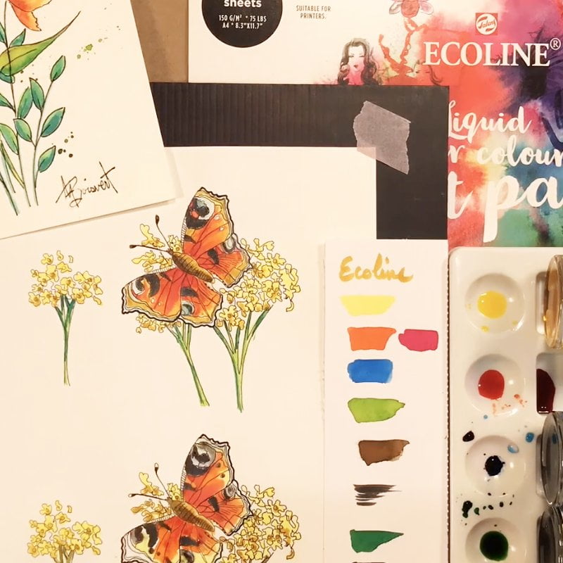 ecoline 800 x 800